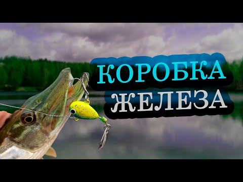 Видео: НА ЧТО ПОЙМАТЬ ХИЩНИКА С БЕРЕГА?КАК собрать КОРОБКУ ЖЕЛЕЗНЫХ приманок для ловли КРУПНОЙ РЫБЫ! ТЕЙЛЫ!