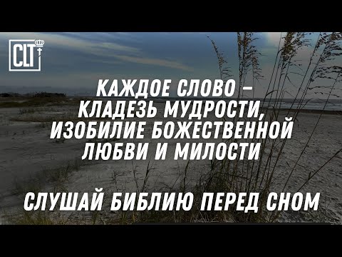 Видео: Отпустите суету минувшего дня и послушайте Божье Слово | Тихий шум волн | Библия | Relaxing