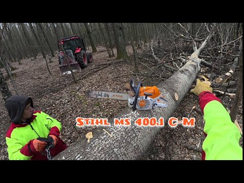 Видео: Лесозаготовка в новых посадках, наконец-то лучшая местность, Stihl ms 400.1 CM, Amles, Лесные работы