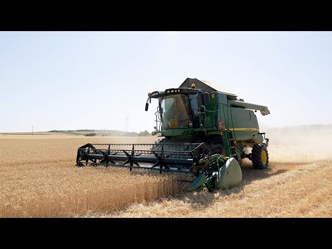 Видео: Harvest! (Gamzovo '2025) / Жътва! (Гъмзово '2025)