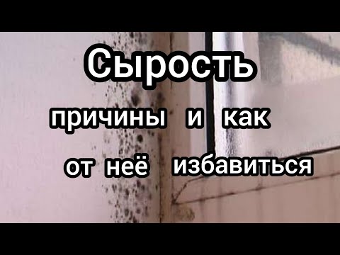 Видео: Как избавиться от сырости в доме