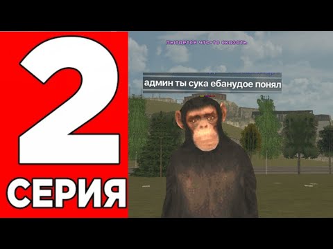 Видео: БУДНИ АДМИНА #2 - ПОВЫДАВАЛ ОБЕЗЬЯНИКИ😂, Live Russia, Лайв раша