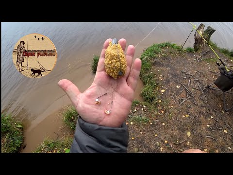 Видео: Клюёт ли рыба осенью? Рыбалка на донки. Сamping ,fishing,bushcraft,