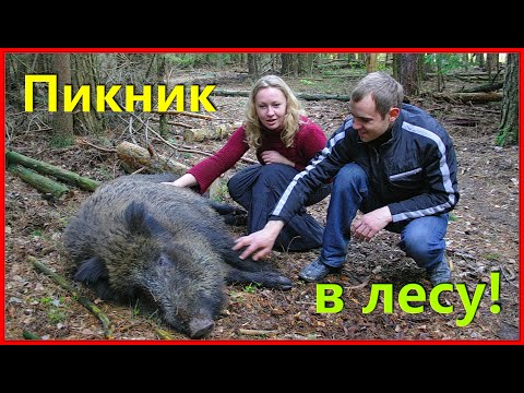 Видео: Пикник 90-х! Дикий КАБАН! Вероника+Илья! Родня! Друзья! 7ч.