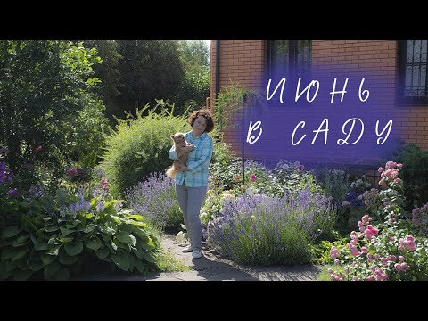 Видео: Июнь в Саду I Сад Людмилы Кудасовой