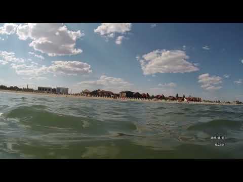 Видео: 3 cерпня 2025 Грибовка