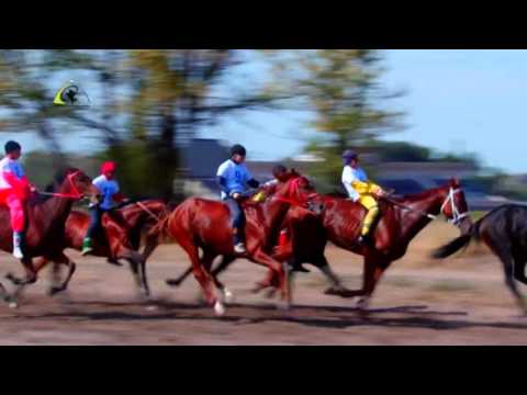 Видео: Конно спортивные состязяния, посвященные к 100 летию великого композитора Кыргызской Республики Жума
