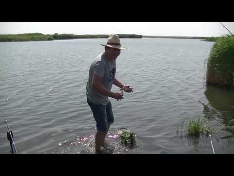 Видео: Супер рыбалка...Неплохой лещ...Рыбалка на реке Маныч...Рыбалка в Ростовской обл...