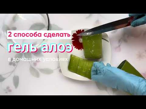 Видео: 2 способа сделать гель алоэ в домашних условиях - из алоэ вера или алоэ древовидного
