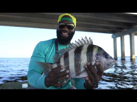 Видео: Изменения приливов и овечья голова, КОРМИТЕСЬ!!! Спуск лодки Арчи Гловера на воду, Пенсакола, Фло...