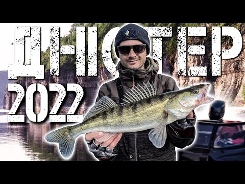 Видео: ✅Риболовля з ЧОВНА під час ВІЙНИ! Де це дозволено?✅