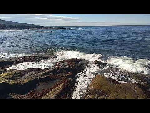 Видео: В Териберку на кемпере