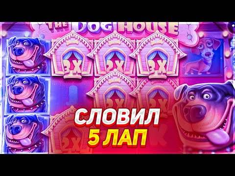 Видео: СЛОВИЛ 5 ЛАП В THE DOG HOUSE MEGAWAYS!!! ALL IN ЗА 100К! ПЫТАЮСЬ СЛОВИТЬ ЗАНОС