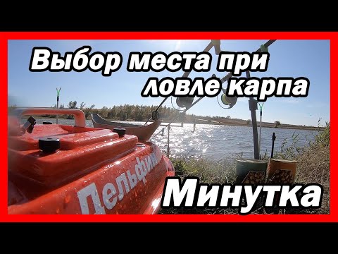 Видео: Ловля Карпа в Ноябре на Минутке. Как Лёха ворует рыбу!