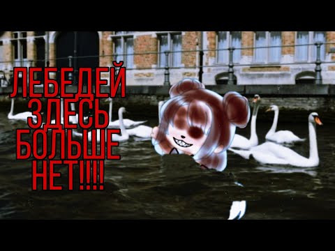 Видео: ~•Страшилка на ночь ЛЕБЕДЕЙ ЗДЕСЬ БОЛЬШЕ НЕТ!!!!!