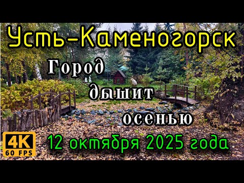 Видео: Город дышит осенью. Усть-Каменогорск, 12 октября 2025г.