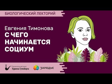 Видео: Биолекторий | С чего начинается социум – Евгения Тимонова