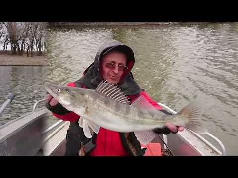 Видео: Весна 2021. Река Кигач. 29 марта- 4 апреля.