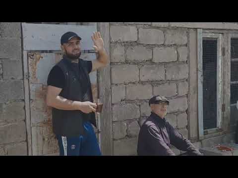 Видео: Соревнования по «Гону Голубей»09.05.2024г  Р.Д. Посёлок Манаскент. Участник под номером-5. Рустам