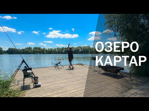 Видео: Озеро Картар / Полювання на чорного амура / Сімейний карпфішинг