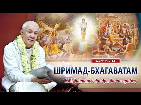 Видео: Прямая трансляция Е.М. Чайтанья Чандра Чаран прабху
