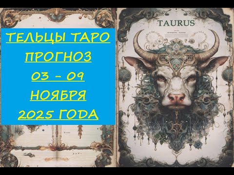 Видео: 1 ноября 2025 г.
