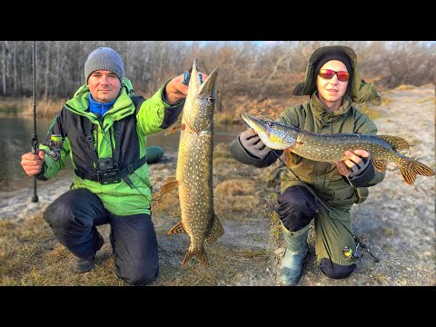 Видео: КАК ЛОВИТЬ на СПИННИНГ ЗИМОЙ 2025 ❄ РЫБАЛКА на УЛЬТРАЛАЙТ и микроСНАСТИ в ХОЛОДНОЙ ВОДЕ