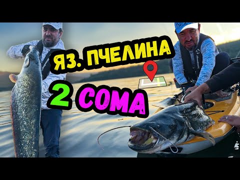 Видео: СОМОВЕ и КОСТУРИ на яз. Пчелина(ЛОБОШ). Риболов на сом