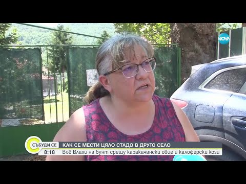 Видео: На село вече не е модерно да се гледат животни? Фермери и общинари от Кресна в лют спор - Събуди се