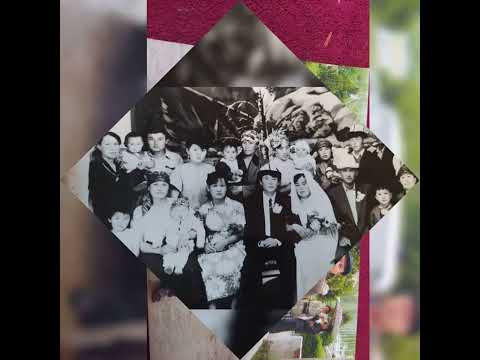 Видео: 26 декабря 2022 г.