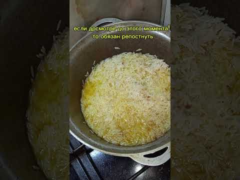 Видео: 4 ноября 2025 г.