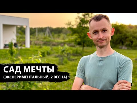 Видео: САД МЕЧТЫ с нуля на глине 2 ВЕСНА, что вырастет на местной почве