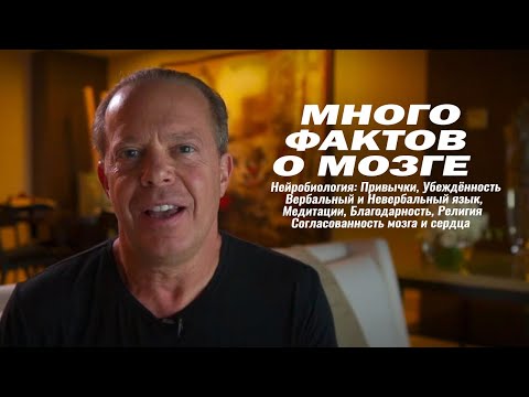 Видео: Нейробиология под Новым Углом   Джо Диспенза