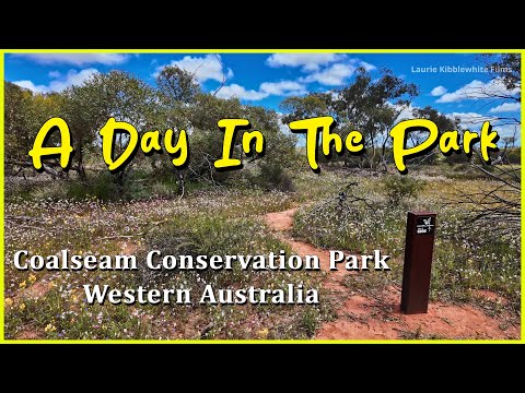 Видео: ДЕНЬ В ПАРКЕ – ПАРК ЗАПОВЕДНИКА УГОЛЬНЫХ ПЛАСТОВ 2025