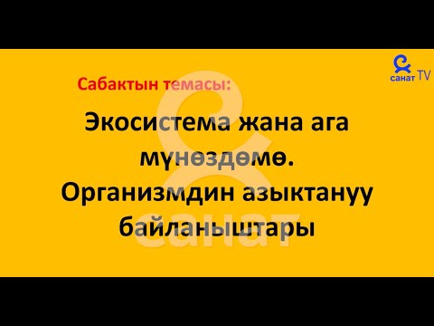 Видео: Биология  11 класс 24 сабак