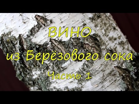 Видео: Вино из березового сока. Часть 1.