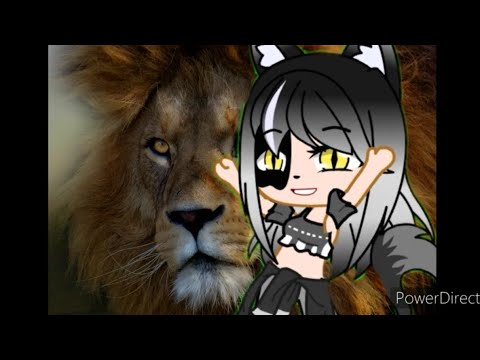 Видео: Клип дикая львица