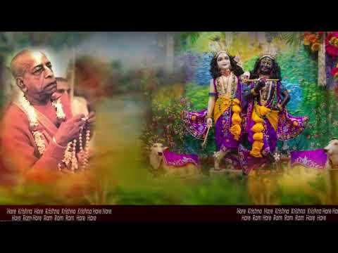 Видео: 2025 ноября 2 | Джапа  - Е.С. Локанатха Свами