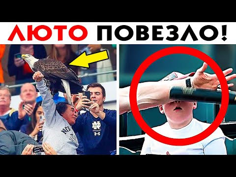 Видео: 55 Случаев Лютого Везения!