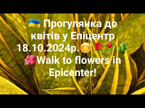 Видео: 🇺🇦 Прогулянка до квітів у Епіцентр 18.10.2024р.😊🌹⚘️🌵🌺Walk to flowers in Epicenter!