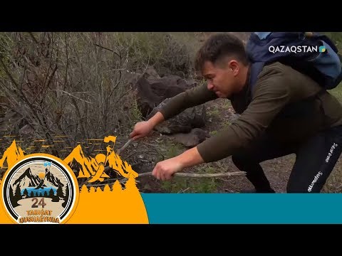 Видео: «24 SAǴAT TABIǴAT QUSHAǴYNDA». 3-бағдарлама