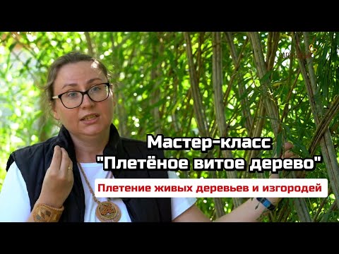Видео: Золотые руки. Живое плетение.