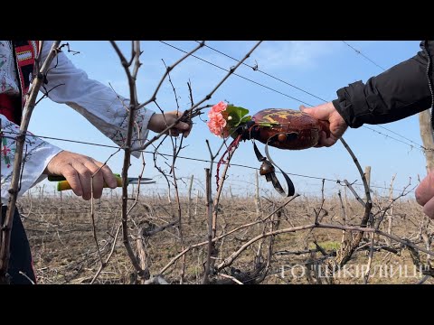 Видео: Трифон Зарезан. 14.02.2025 г.