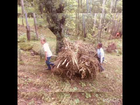 Видео: Исмати Рози Вахё мерам.