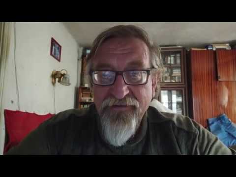 Видео: Прогулка на заказ