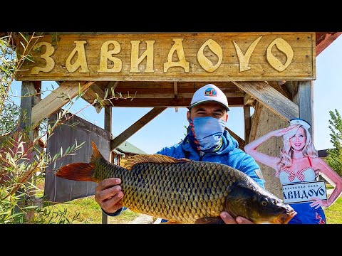 Видео: Балхаш, Завидово 4к. Рыбалка на сазана.