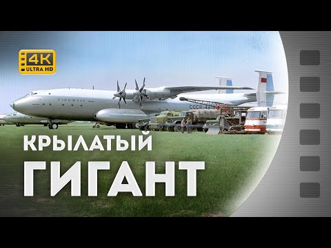 Видео: КРИЛАТИЙ ГІГАНТ / КРЫЛАТЫЙ ГИГАНТ / Ан-22 / 1965 / 4K