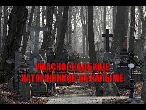 Видео: СТРАШНОЕ КЛАДБИЩЕ КАТОРЖНИКОВ ГУЛАГА НА КАЛЫМЕ/УНИКАЛЬНЫЕ НАХОДКИ И ЗАХОРОНЕНИЯ НА УЖАСНОМ КЛАДБИЩЕ