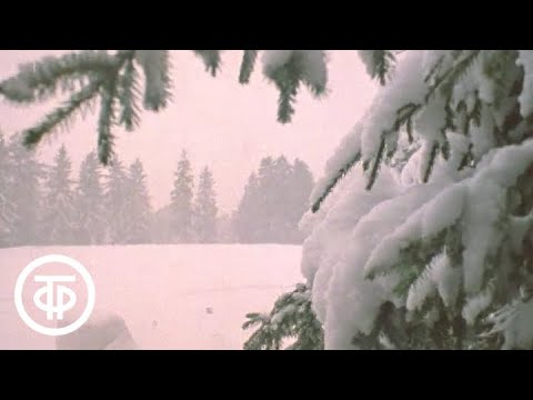 Видео: Декабрь. Из цикла "Двенадцать месяцев"(1977)