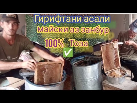 Видео: Диққат! Тарзи гирифтани Асал 🍯 аз қуттии занбури Асал